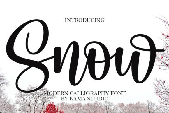 Snow: The Elegant Script Font for Your Brand